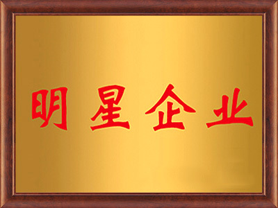 明(míng)星企業